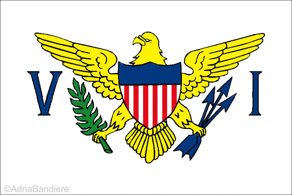 [A00190] Pavillon. 100x150 Etamine Vierges USA (6)