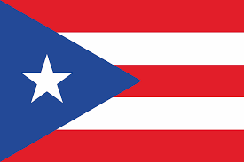 [A00045] Pavillon. 30x45 Etamine Puerto Rico (4)