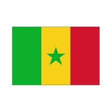 [A00059] Pavillon. 30x45 Etamine Sénégal (3)